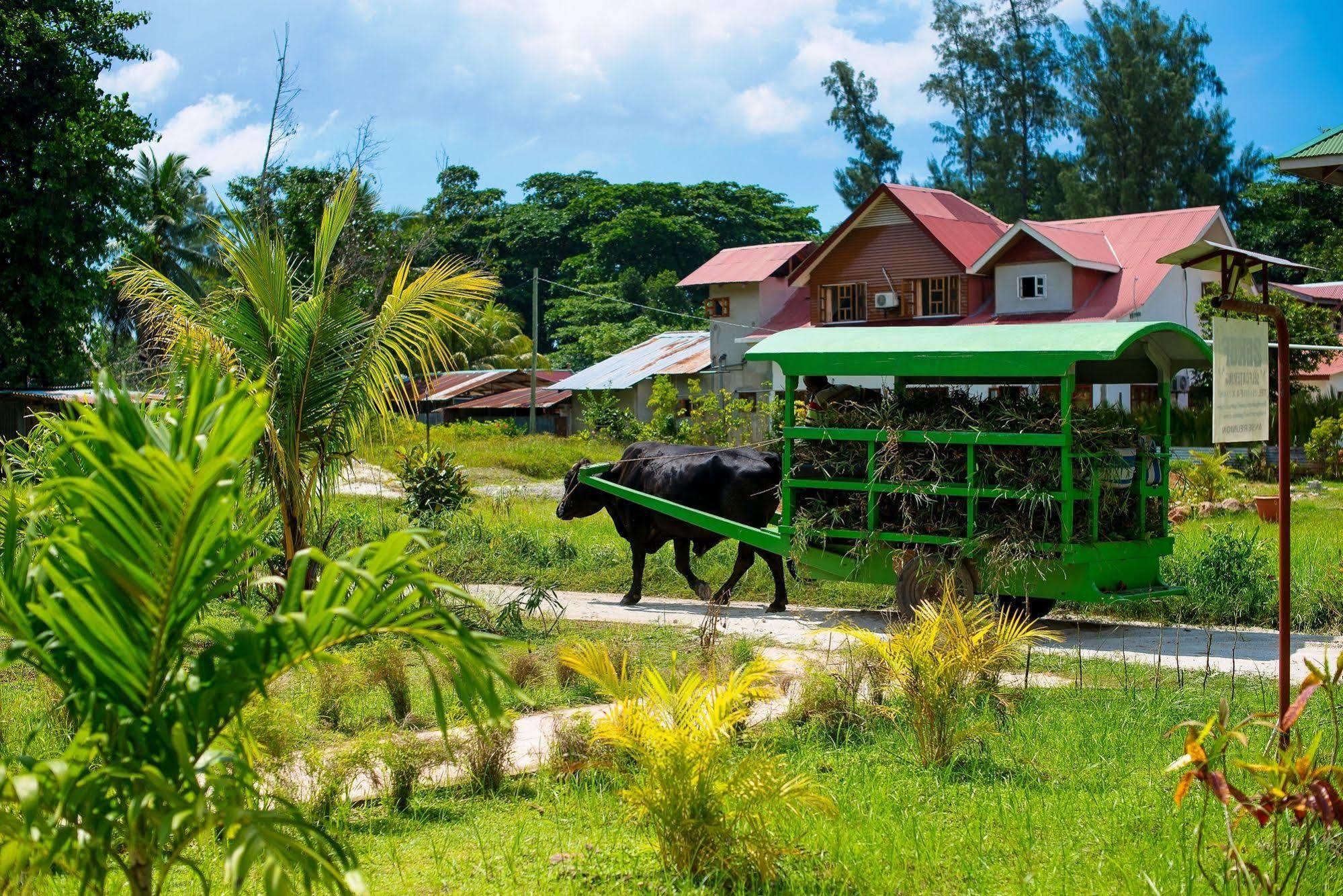 Zerof Self Catering Apartments La Digue Exterior photo